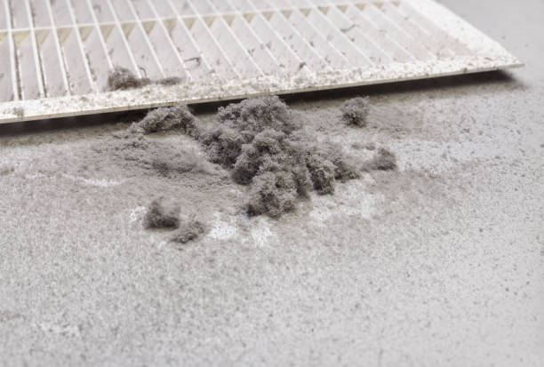Best Residential Air Duct Cleaning  in Charleston, IL