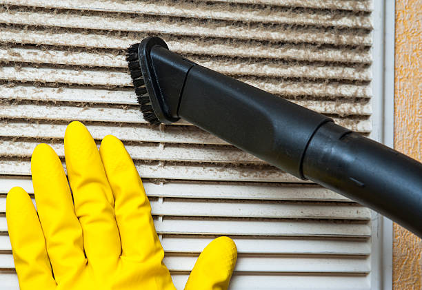 Best Ductwork Cleaning Services  in Charleston, IL